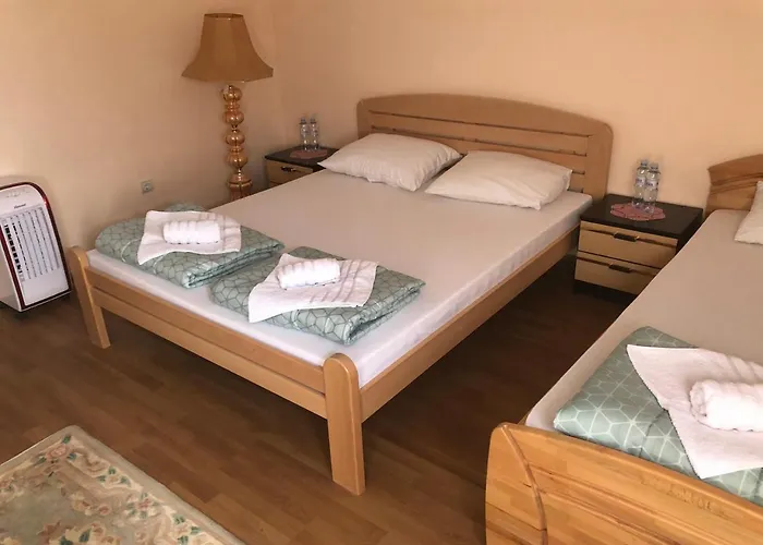 Tatil Evi Rodjak Sa Sela Mionica